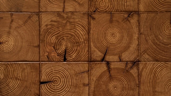 Nahaufnahme von quadratischen Endholzplatten aus Altholz mit Jahresringen und Rissen.